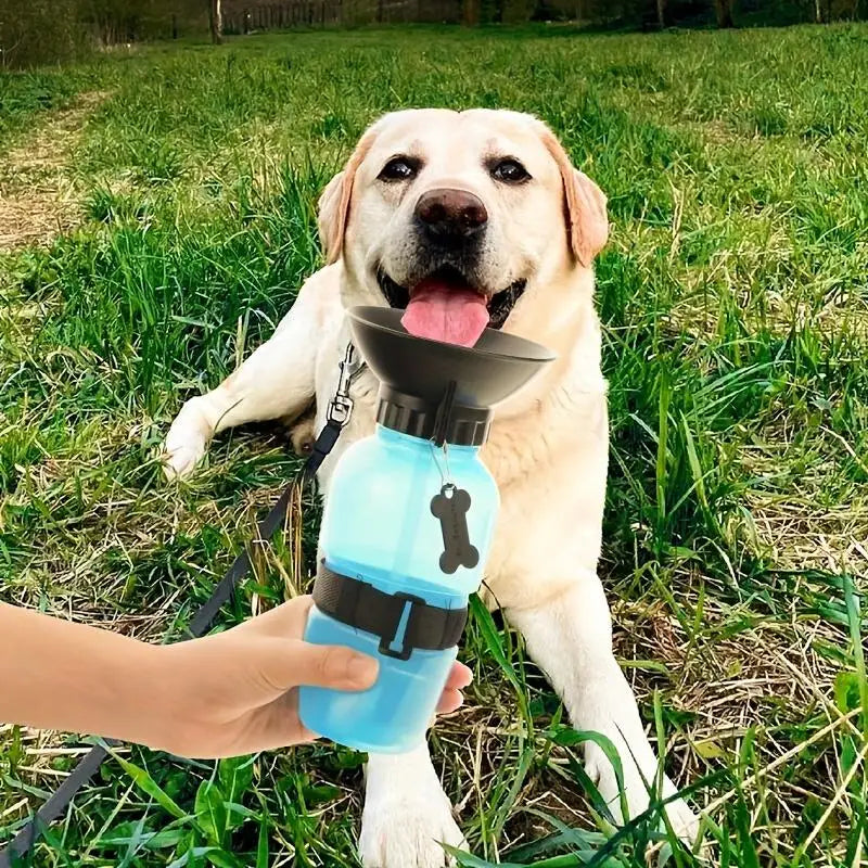 Portable Leakproof Dog Water Bottle for Travel and Outdoor Use