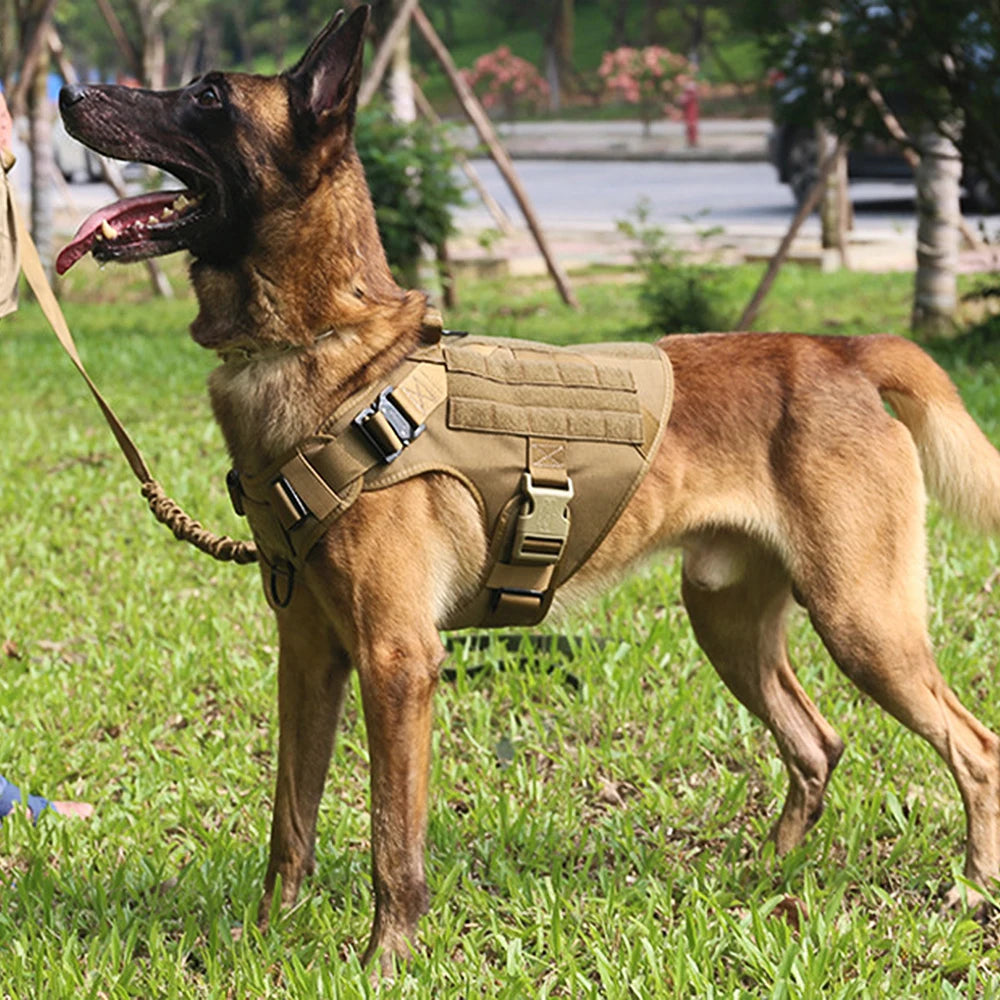 Military Dog Harness and Leash Set for Large Dogs