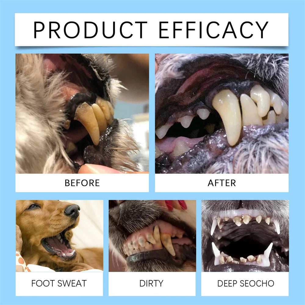 **Pet Dental Cleaning Pen for Dogs and Cats Tartar and Stain Remover**