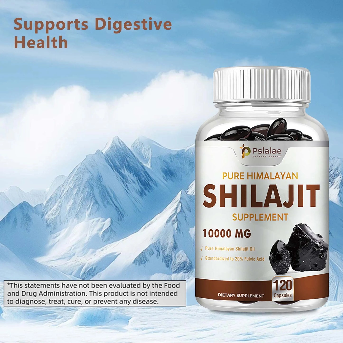 Shilajit Capsules for Detox Support Stress Relief and Nutrient Absorption 120 Count