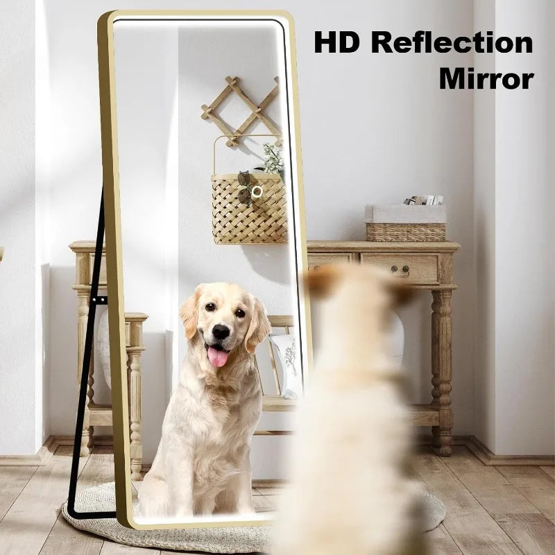 Full-Length LED Mirror with Dimmable Lighting & Wall-Mount Option