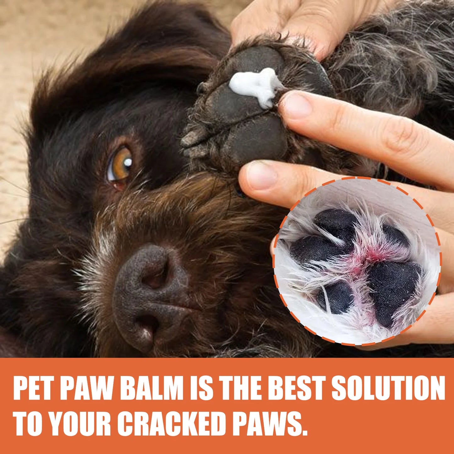 **Pet Paw Balm 30g for Dogs and Cats Moisturizing and Protective Cream for Dry or Cracked Paws**