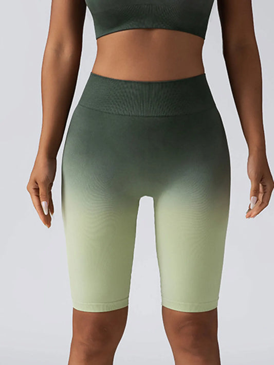 Ombre Gradient High Waist Yoga and Fitness Shorts for Women