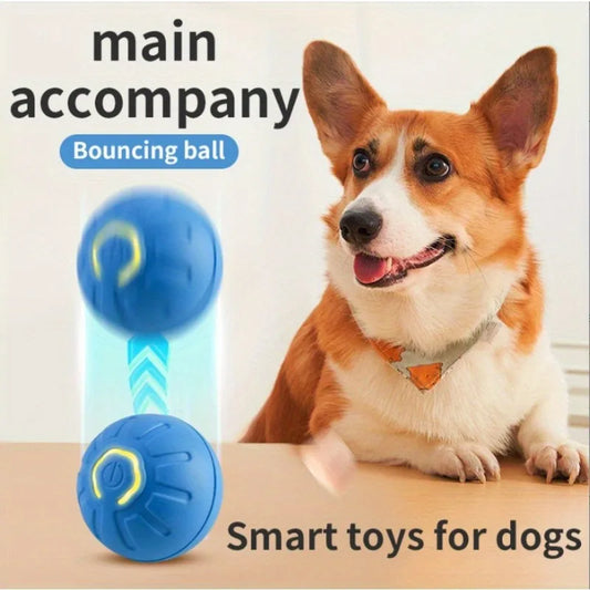 Rechargeable Jumping Ball Toy for Cats and Dogs