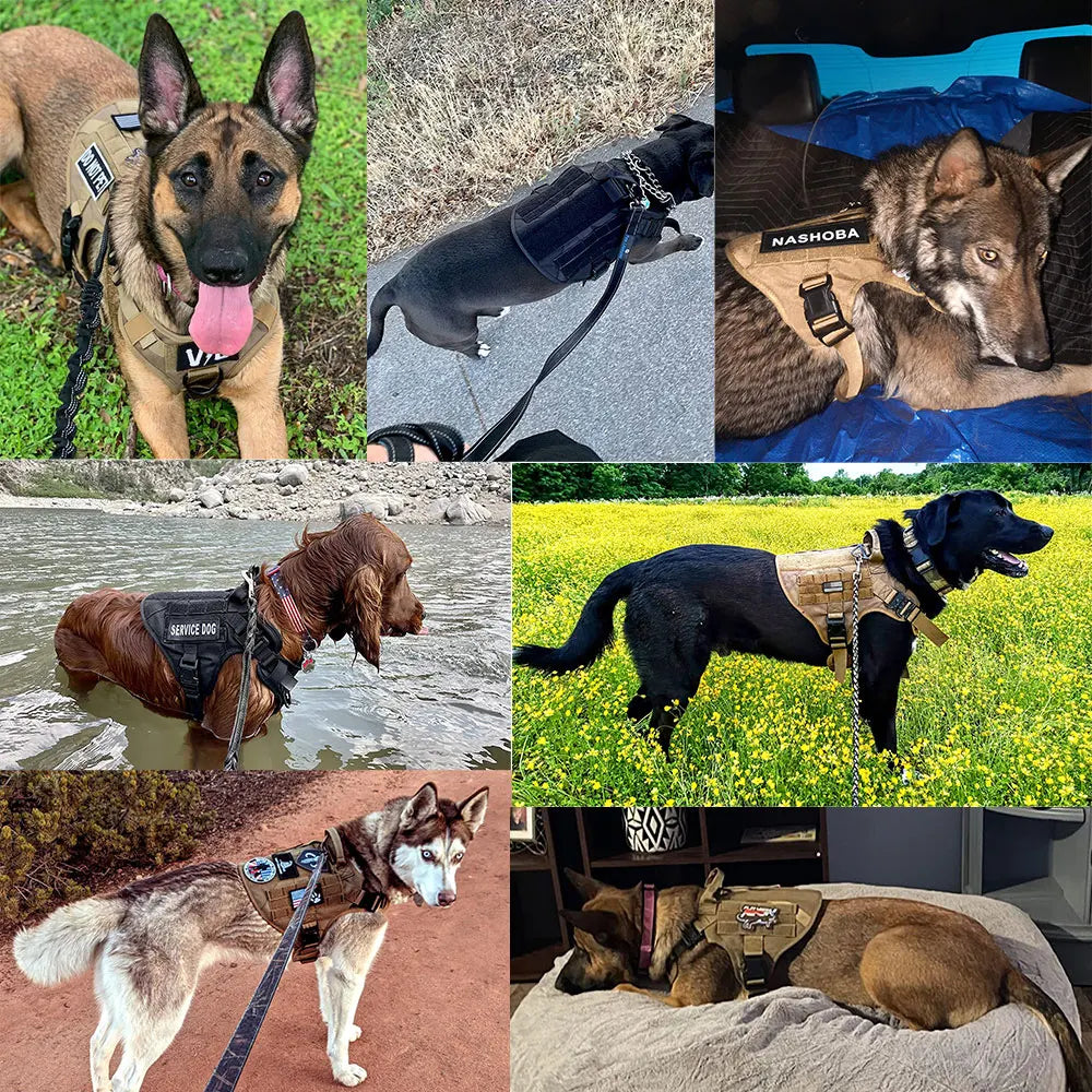 Military Dog Harness and Leash Set for Large Dogs