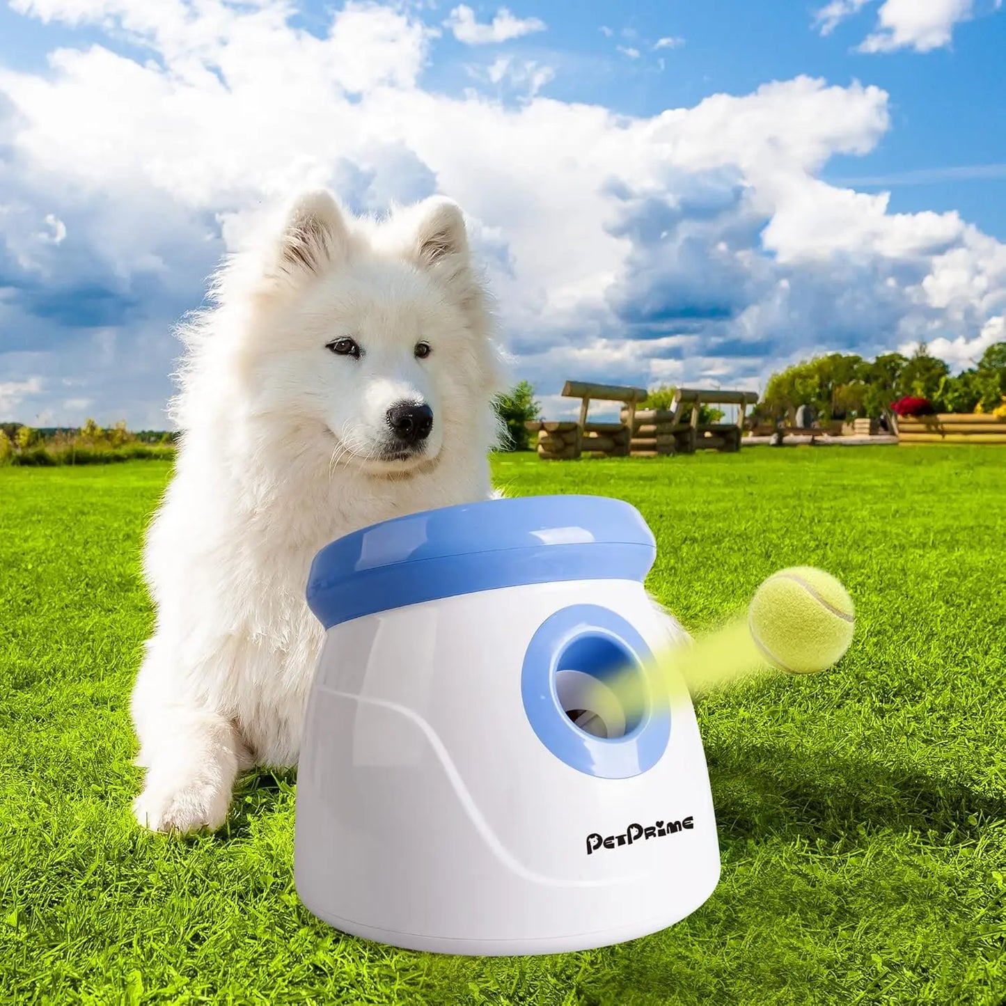 Automatic Dog Ball Launcher Adjustable Distance 10-40ft Interactive Toy